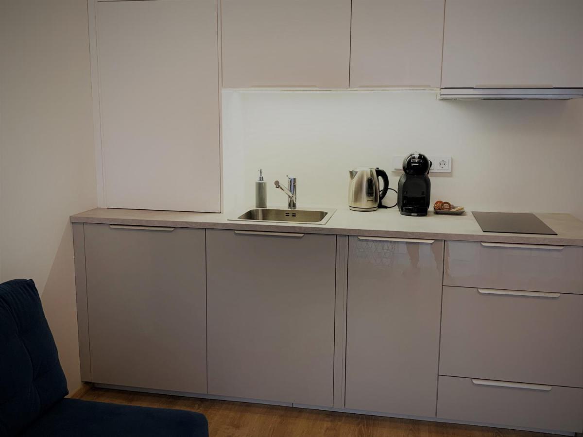Cozy Nest Apartment In Κάουνας Εξωτερικό φωτογραφία